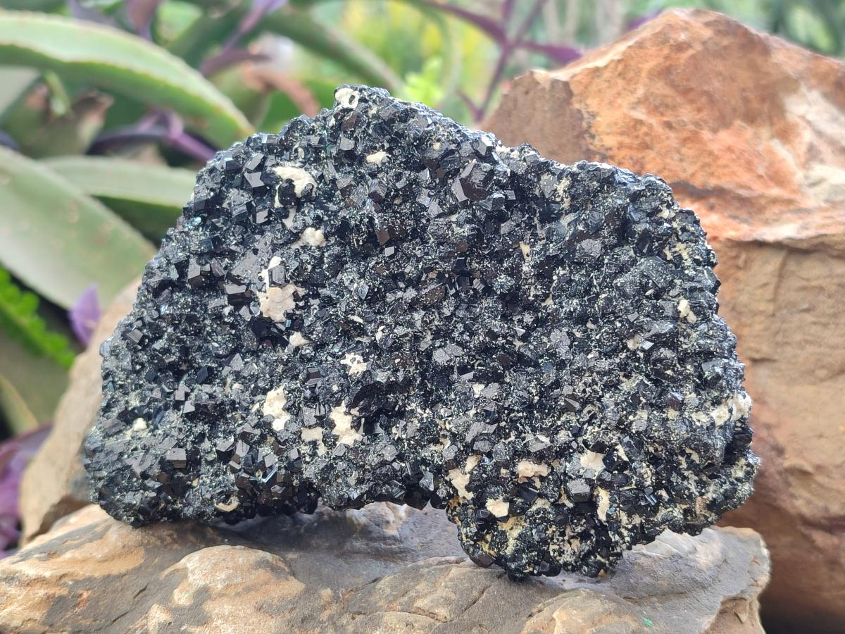 Natural Schorl Black Tourmaline Crystal Cluster Specimens with Feldspar x 2 From Erongo, Namibia