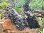 Natural Schorl Black Tourmaline Crystal Cluster Specimens with Feldspar x 2 From Erongo, Namibia