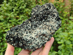 Natural Schorl Black Tourmaline Crystal Cluster Specimens with Feldspar x 2 From Erongo, Namibia