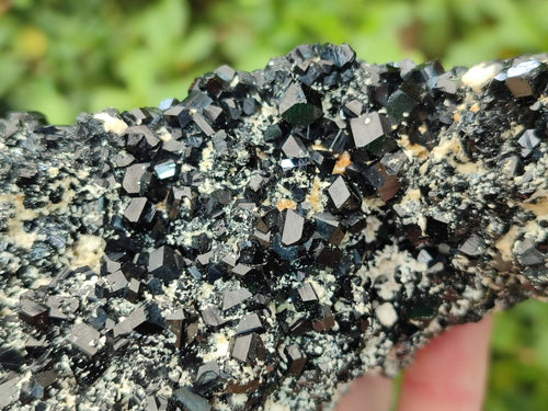 Natural Schorl Black Tourmaline Crystal Cluster Specimens with Feldspar x 2 From Erongo, Namibia