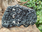 Natural Schorl Black Tourmaline Crystal Cluster Specimens with Feldspar x 2 From Erongo, Namibia