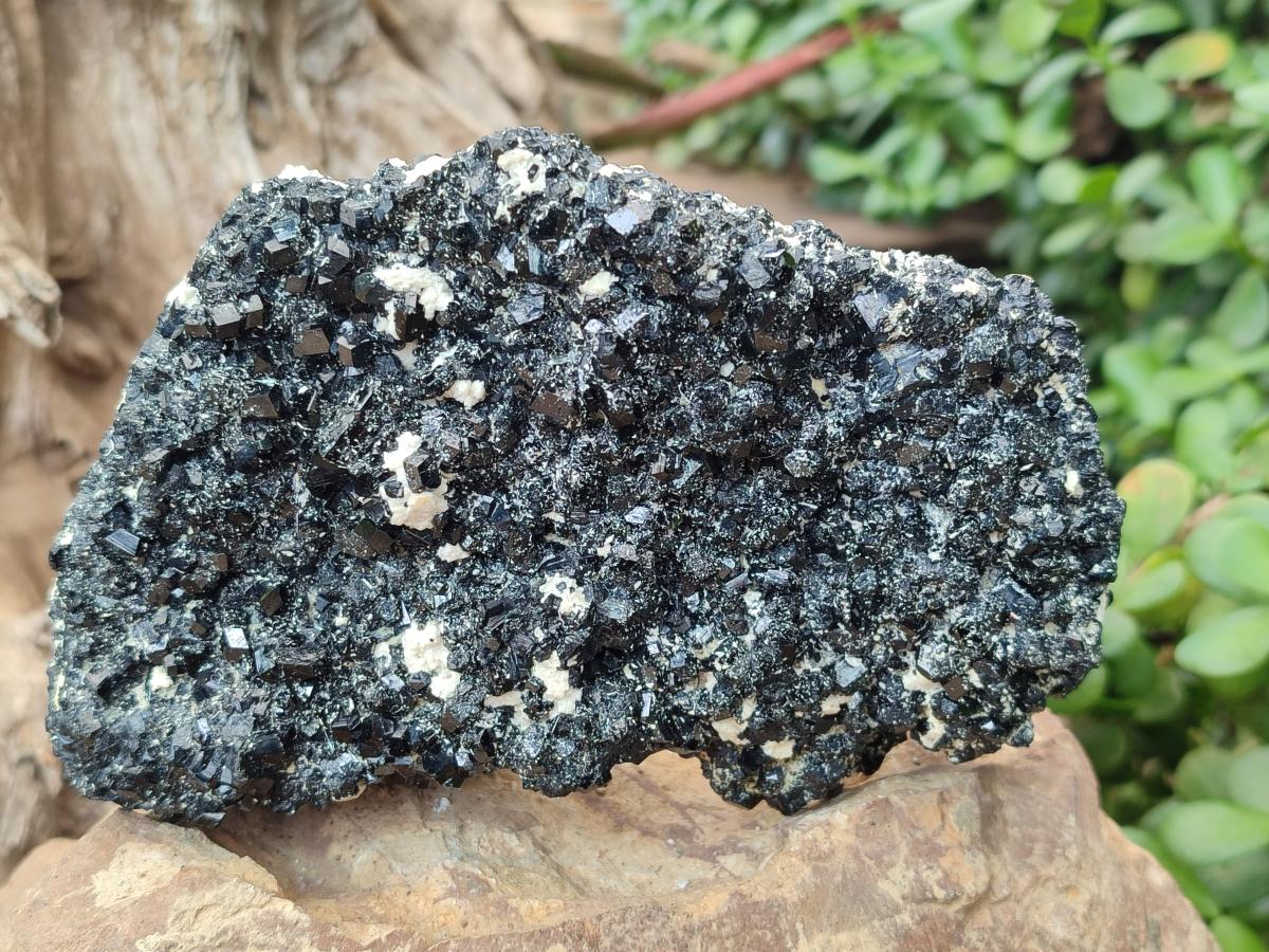 Natural Schorl Black Tourmaline Crystal Cluster Specimens with Feldspar x 2 From Erongo, Namibia