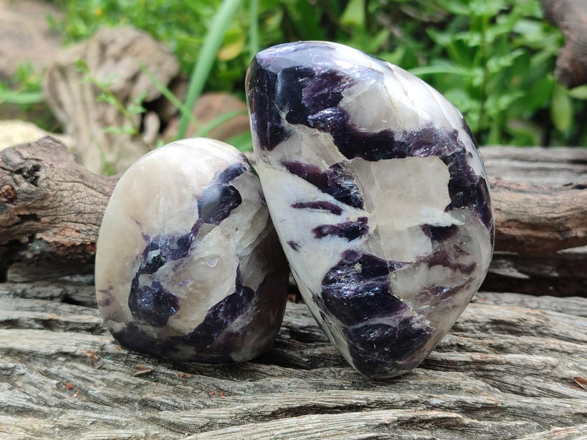 Polished Lepidolite Standing Display Pieces x 7 From Zimbabwe