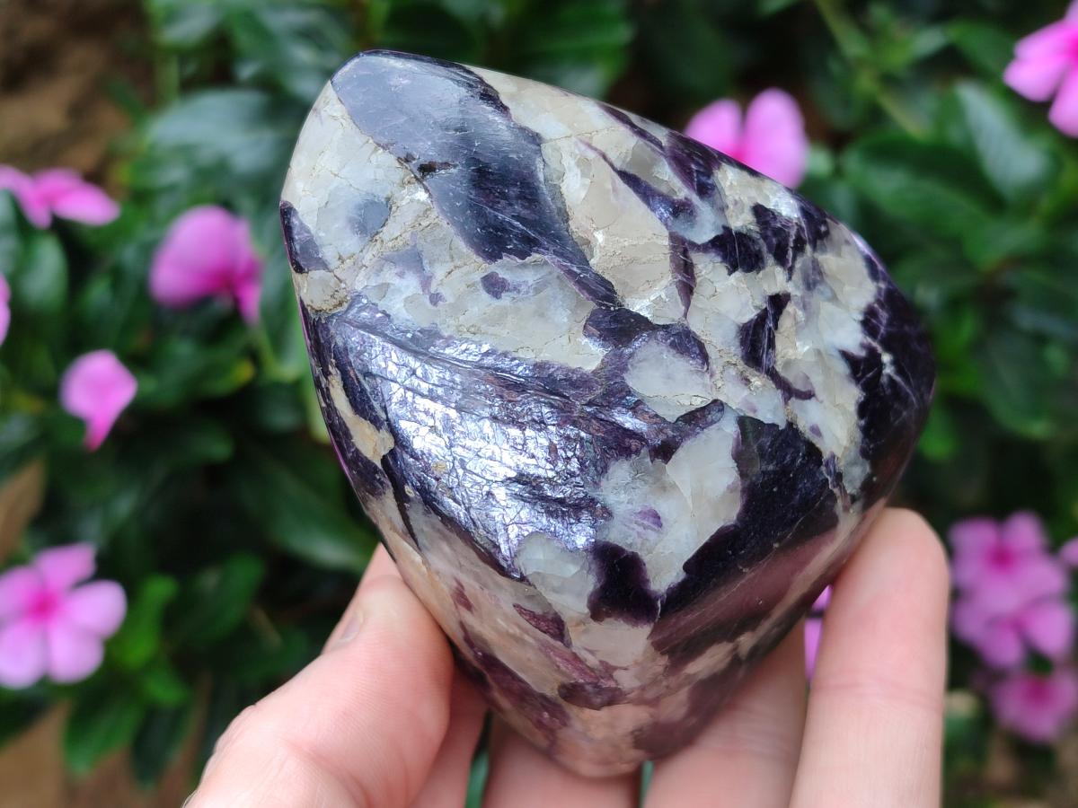 Polished Lepidolite Standing Display Pieces x 7 From Zimbabwe