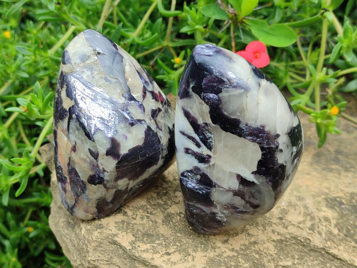 Polished Lepidolite Standing Display Pieces x 7 From Zimbabwe