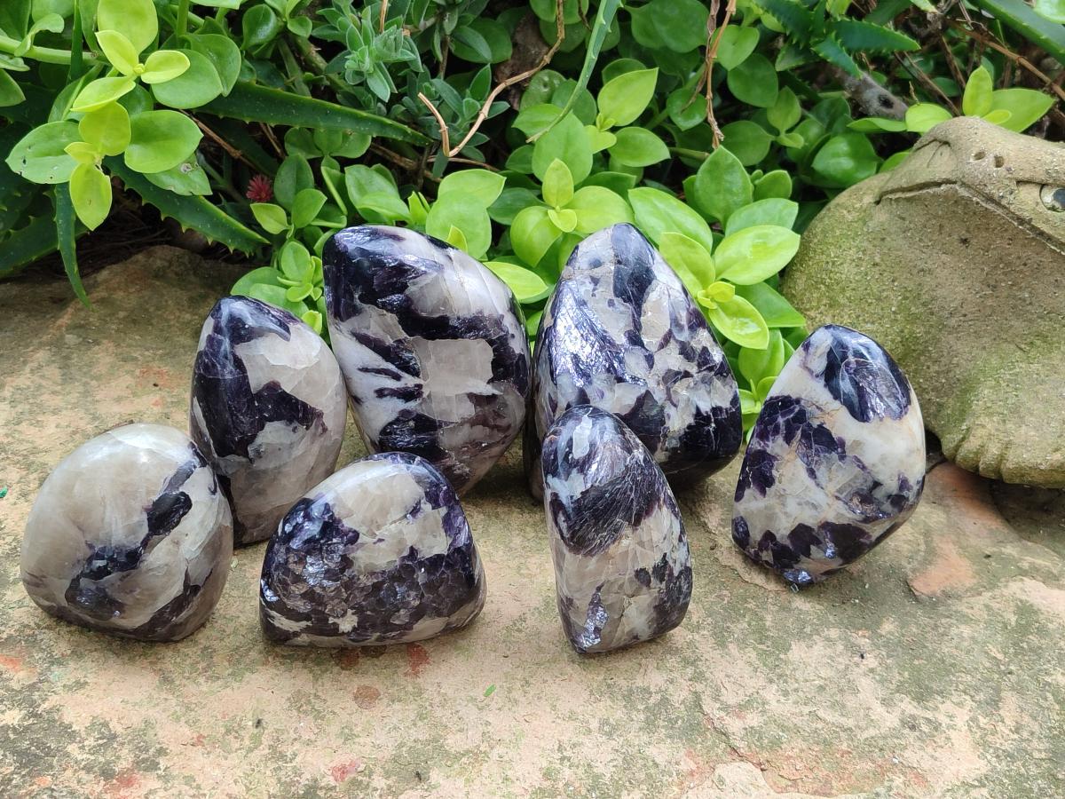 Polished Lepidolite Standing Display Pieces x 7 From Zimbabwe