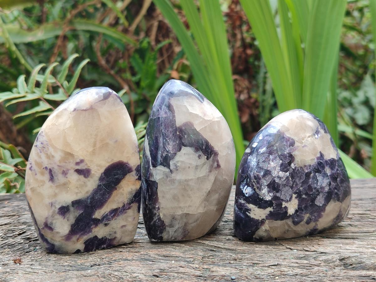 Polished Lepidolite Standing Display Pieces x 7 From Zimbabwe