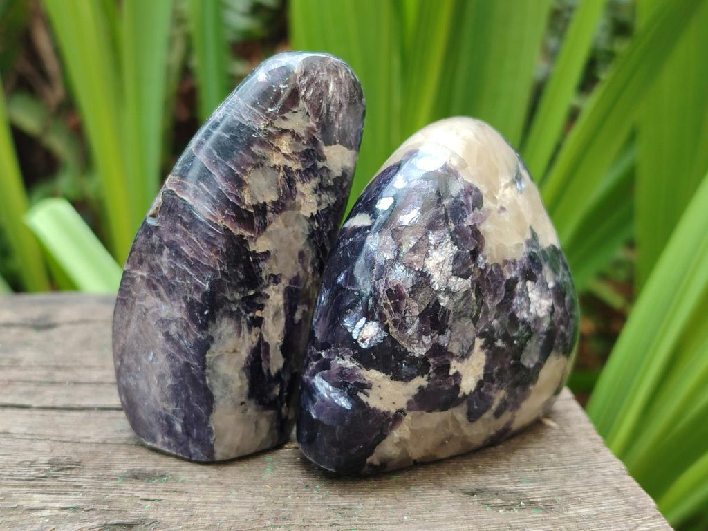 Polished Lepidolite Standing Display Pieces x 7 From Zimbabwe