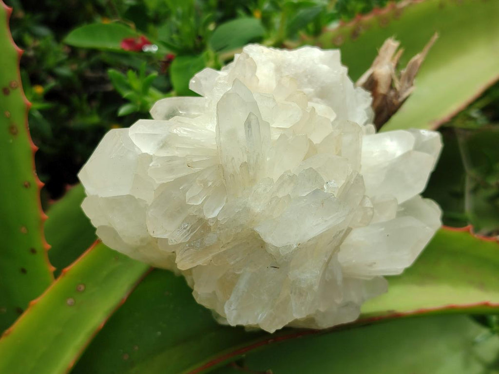 Natural Malagasy Quartz Crystals and Clusters x 7 From Madagascar