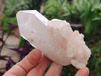 Natural Malagasy Quartz Crystals and Clusters x 7 From Madagascar