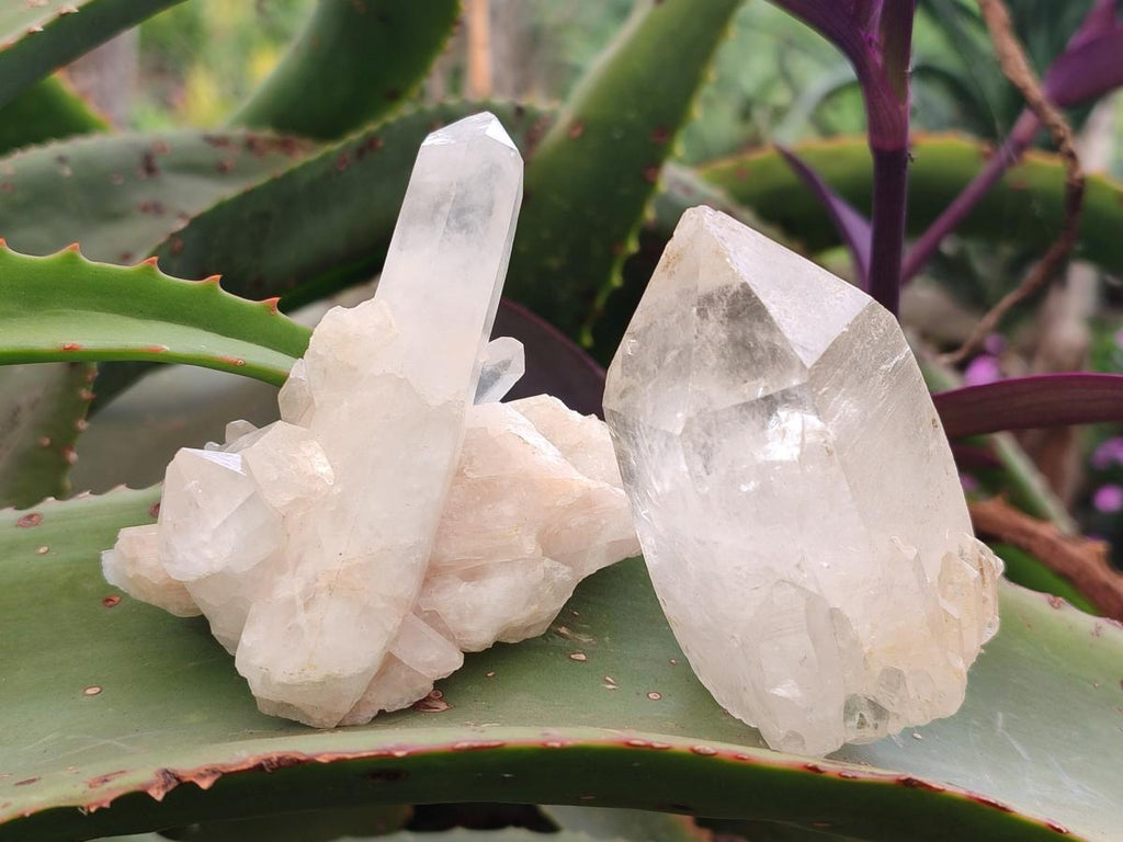 Natural Malagasy Quartz Crystals and Clusters x 7 From Madagascar
