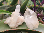 Natural Malagasy Quartz Crystals and Clusters x 7 From Madagascar