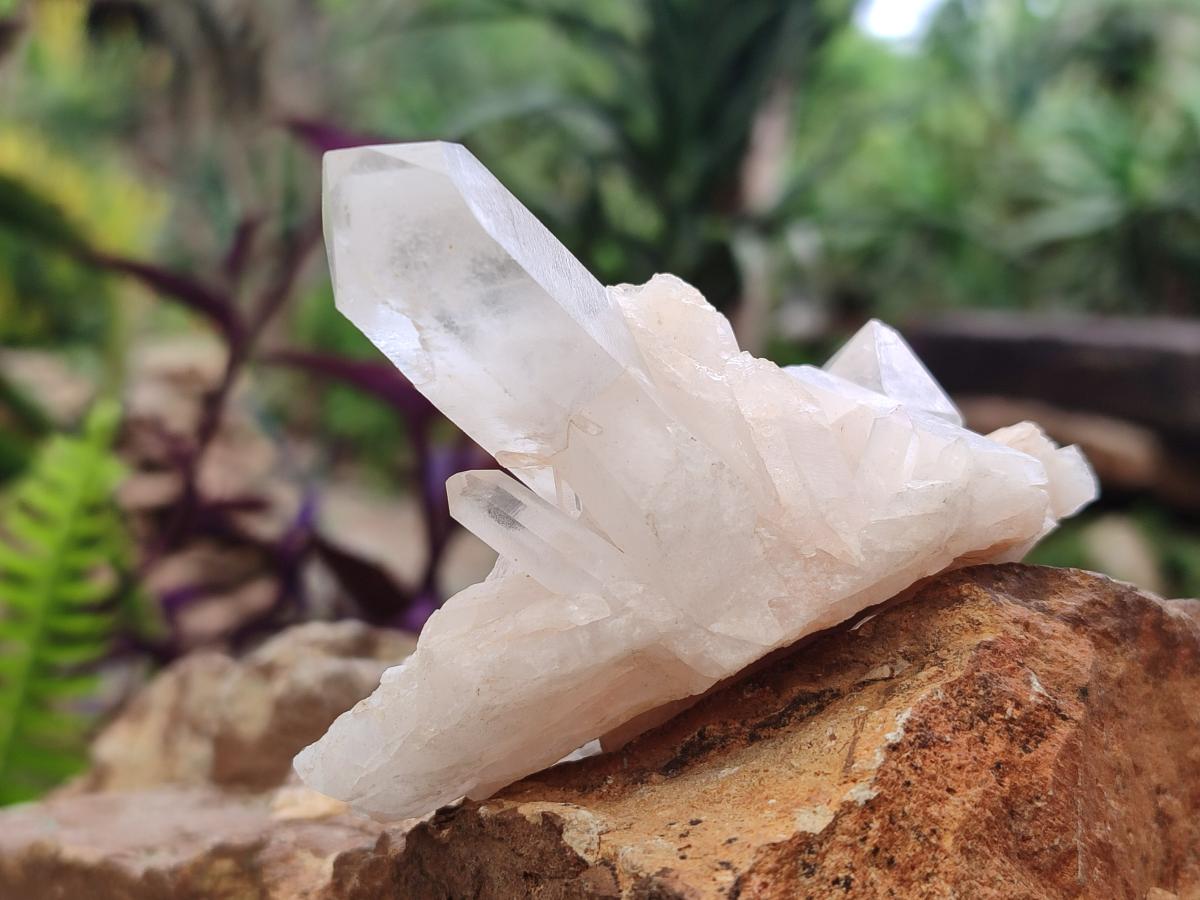 Natural Malagasy Quartz Crystals and Clusters x 7 From Madagascar