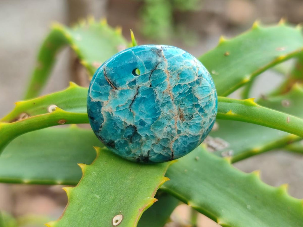 Polished Blue Apatite Pendants x 20 From Betroka, Madagascar