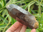 Natural Smokey Quartz Crystals x 6 From Zomba Plateau, Malawi