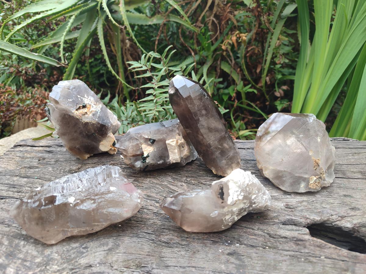 Natural Smokey Quartz Crystals x 6 From Zomba Plateau, Malawi