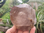 Natural Smokey Quartz Crystals x 6 From Zomba Plateau, Malawi