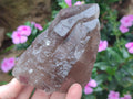 Natural Smokey Quartz Crystals x 6 From Zomba Plateau, Malawi
