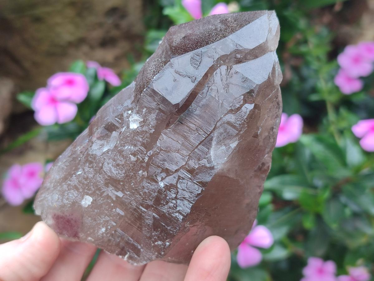 Natural Smokey Quartz Crystals x 6 From Zomba Plateau, Malawi