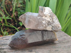 Natural Smokey Quartz Crystals x 6 From Zomba Plateau, Malawi