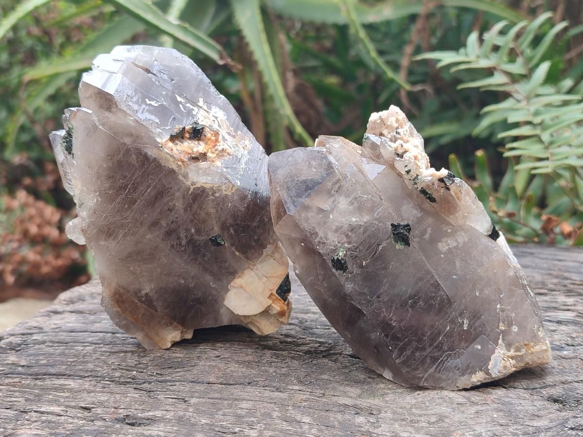 Natural Smokey Quartz Crystals x 6 From Zomba Plateau, Malawi