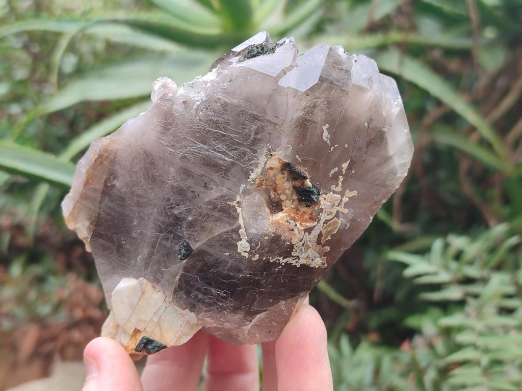 Natural Smokey Quartz Crystals x 6 From Zomba Plateau, Malawi