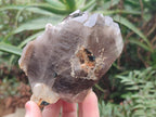 Natural Smokey Quartz Crystals x 6 From Zomba Plateau, Malawi