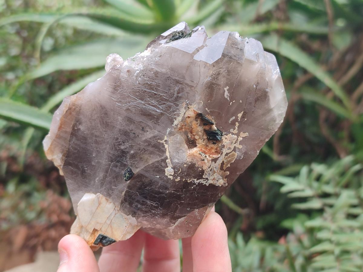 Natural Smokey Quartz Crystals x 6 From Zomba Plateau, Malawi