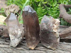 Natural Smokey Quartz Crystals x 6 From Zomba Plateau, Malawi