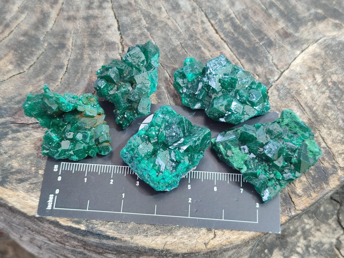 Natural Dioptase Specimens on Dolomite Matrix x 12 From Tantara Mine, Congo