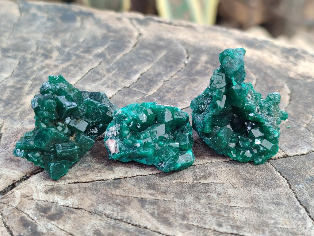 Natural Dioptase Specimens on Dolomite Matrix x 12 From Tantara Mine, Congo