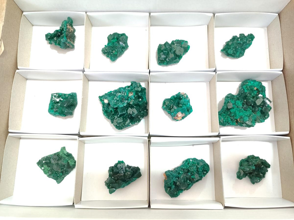 Natural Dioptase Specimens on Dolomite Matrix x 12 From Tantara Mine, Congo