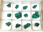 Natural Dioptase Specimens on Dolomite Matrix x 12 From Tantara Mine, Congo