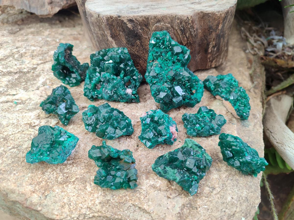 Natural Dioptase Specimens on Dolomite Matrix x 12 From Tantara Mine, Congo
