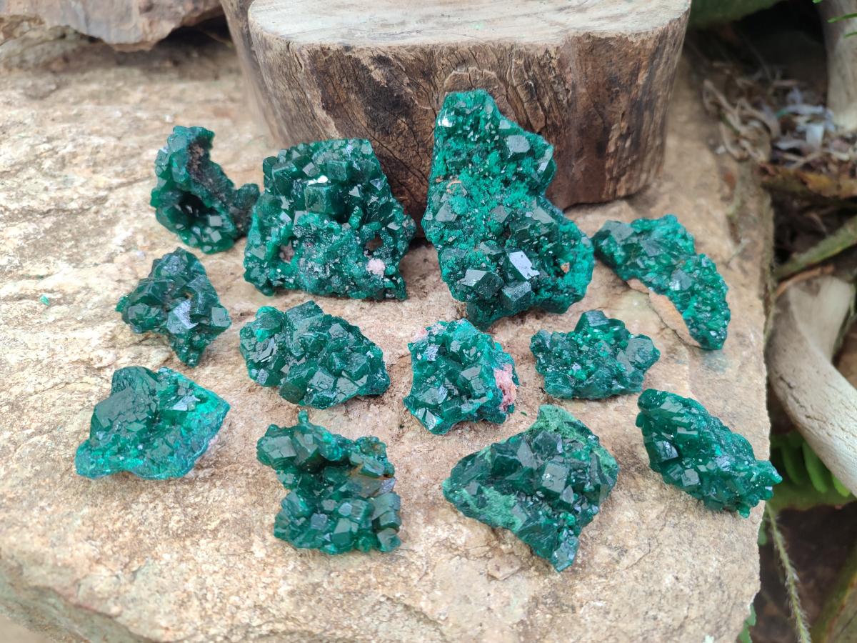Natural Dioptase Specimens on Dolomite Matrix x 12 From Tantara Mine, Congo