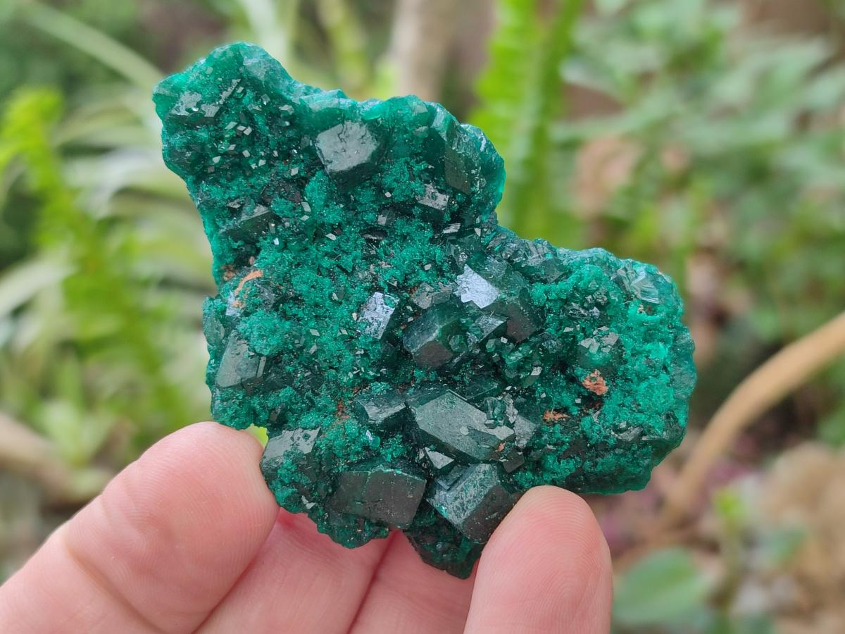 Natural Dioptase Specimens on Dolomite Matrix x 12 From Tantara Mine, Congo