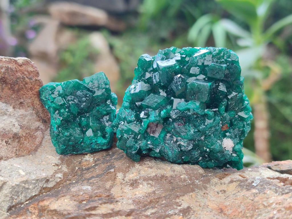 Natural Dioptase Specimens on Dolomite Matrix x 12 From Tantara Mine, Congo