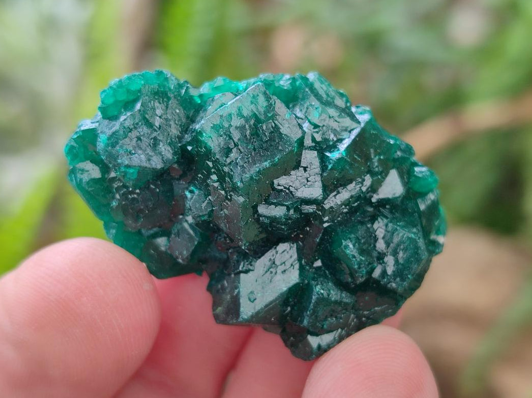 Natural Dioptase Specimens on Dolomite Matrix x 12 From Tantara Mine, Congo