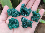 Natural Dioptase Specimens on Dolomite Matrix x 12 From Tantara Mine, Congo