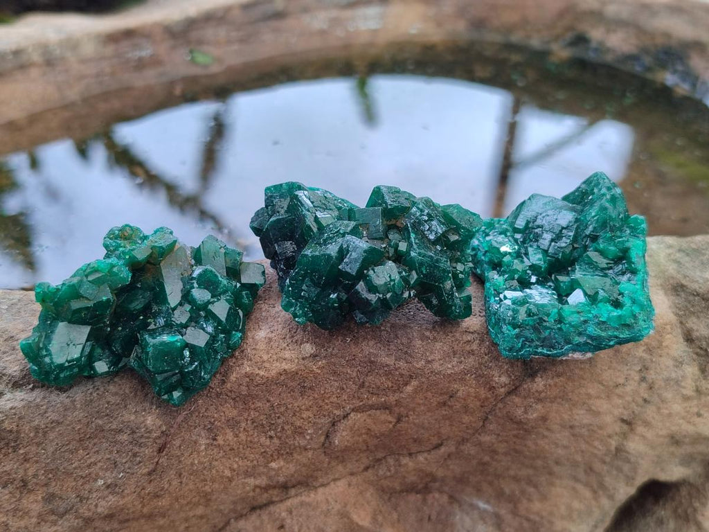Natural Dioptase Specimens on Dolomite Matrix x 12 From Tantara Mine, Congo