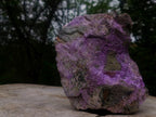 Natural XL Cobbed Stichtite Specimen x 1 From Barberton, South Africa