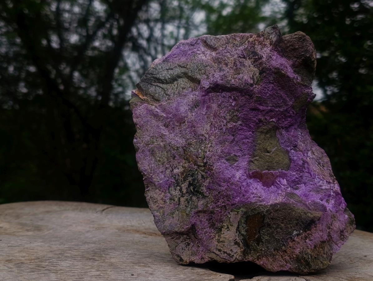 Natural XL Cobbed Stichtite Specimen x 1 From Barberton, South Africa