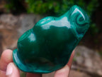 Polished and Natural Flower Banded Malachite Free Forms x 6 From Congo