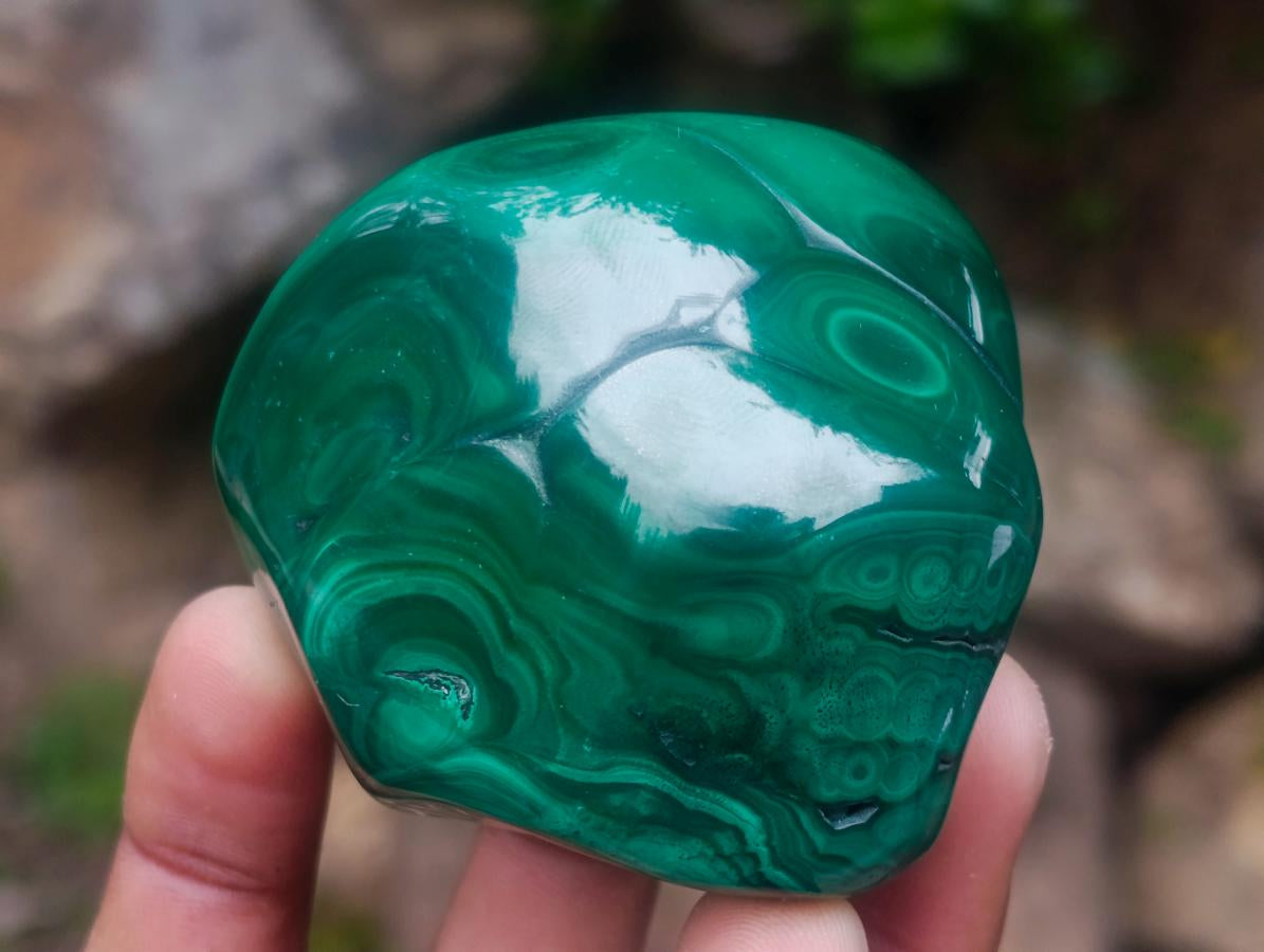 Polished and Natural Flower Banded Malachite Free Forms x 6 From Congo