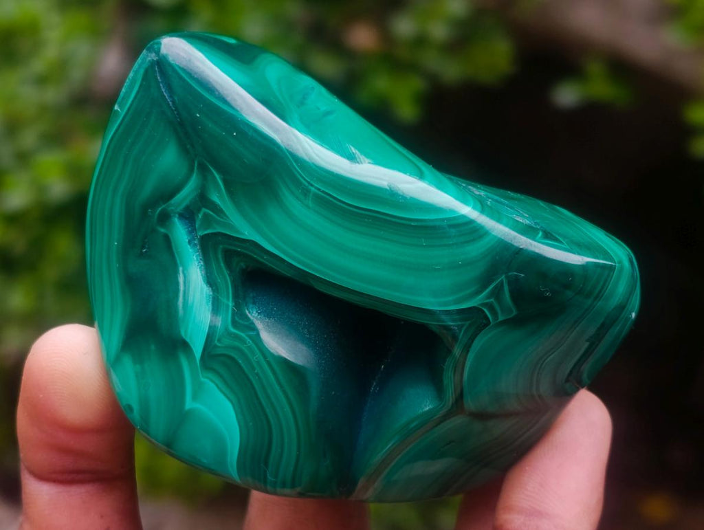 Polished and Natural Flower Banded Malachite Free Forms x 6 From Congo