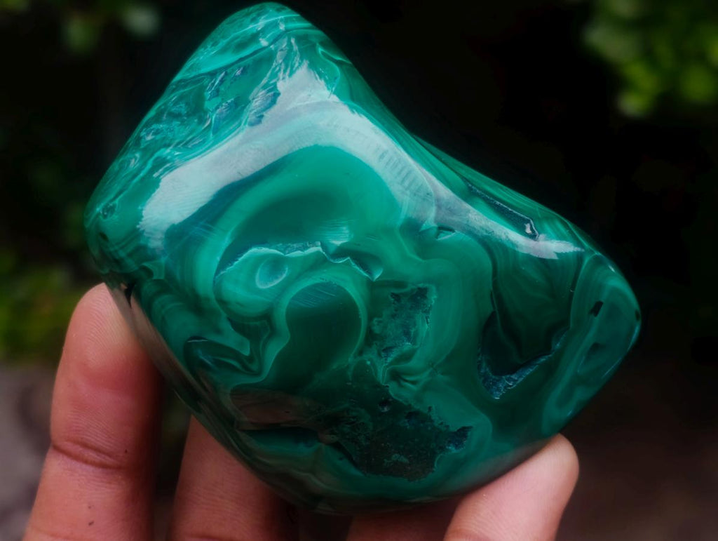 Polished and Natural Flower Banded Malachite Free Forms x 6 From Congo