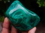 Polished and Natural Flower Banded Malachite Free Forms x 6 From Congo