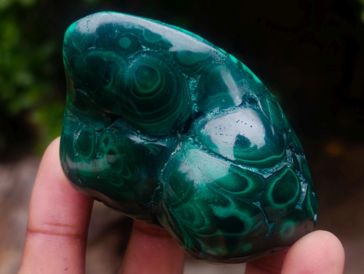 Polished and Natural Flower Banded Malachite Free Forms x 6 From Congo