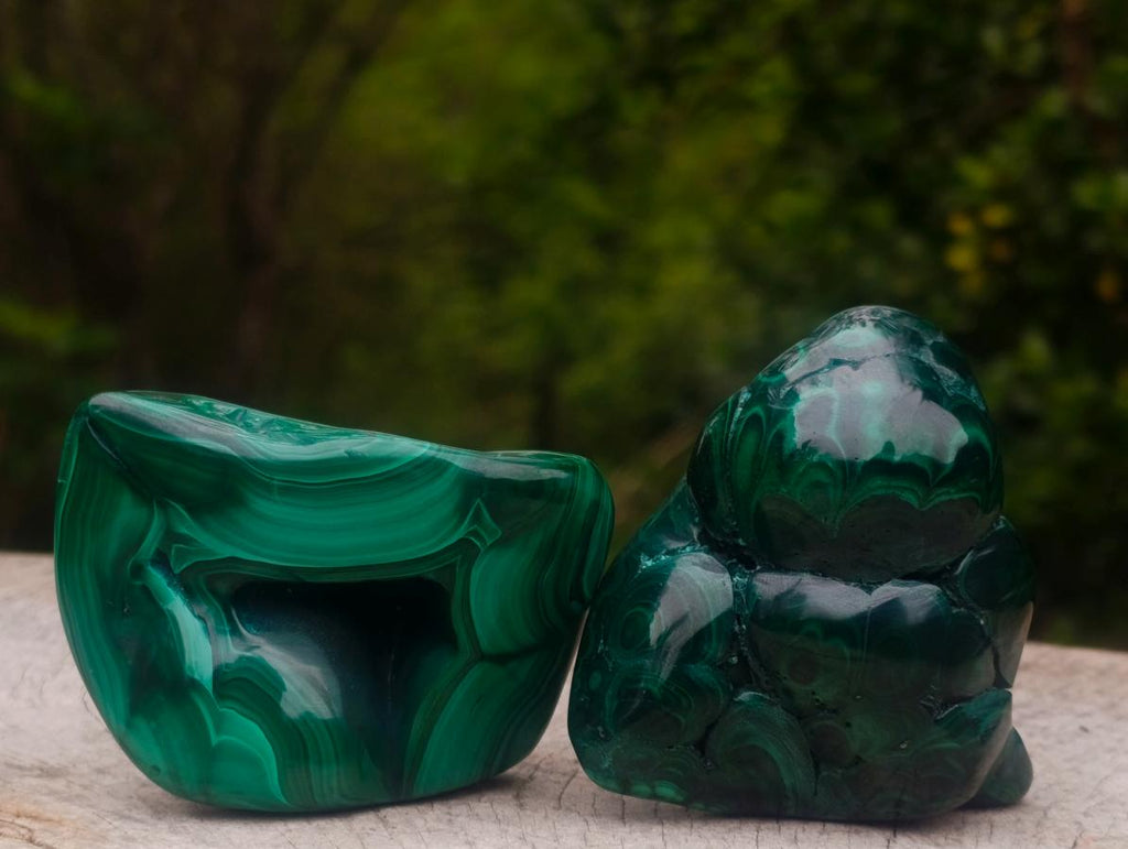 Polished and Natural Flower Banded Malachite Free Forms x 6 From Congo