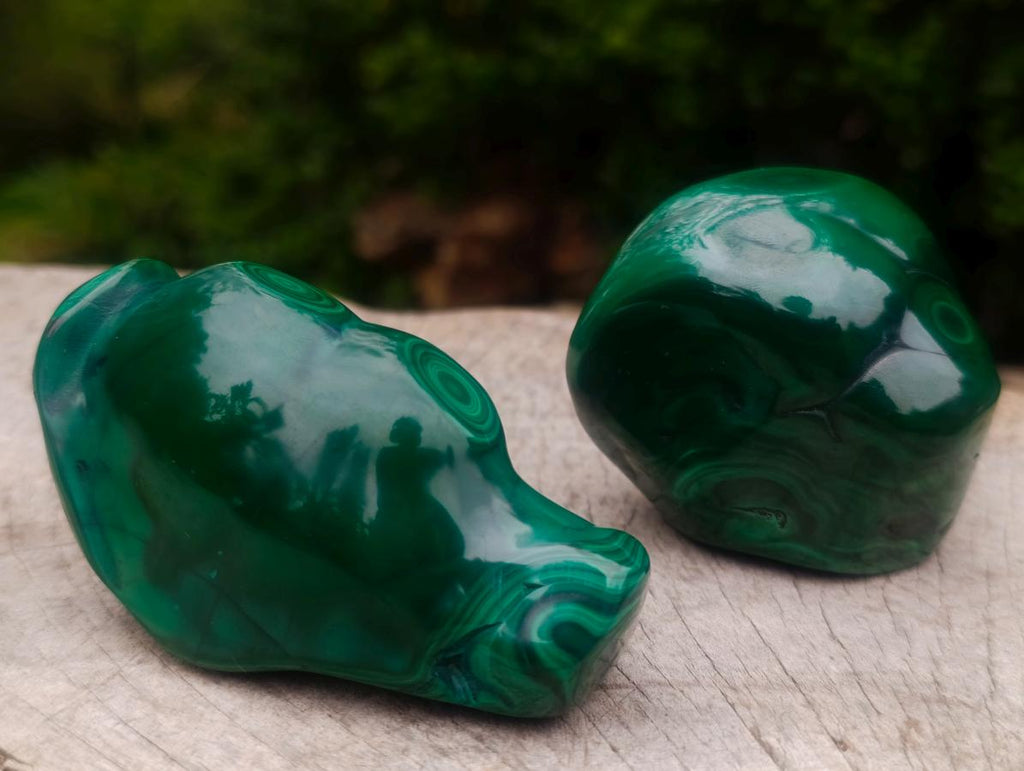 Polished and Natural Flower Banded Malachite Free Forms x 6 From Congo